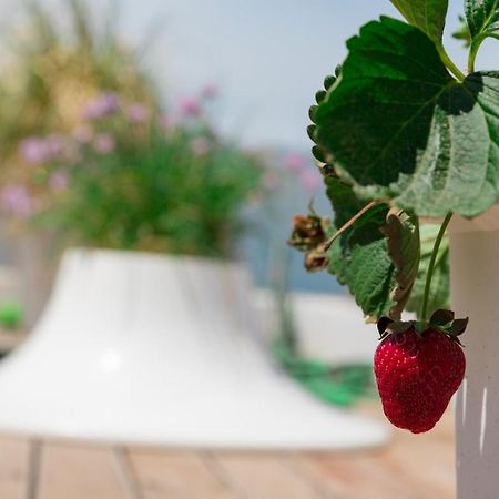 아테네 Dreamy Aegean View 아파트 외부 사진
